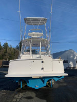 LUHRS 31