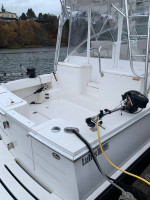 LUHRS 31