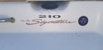 1998 SeaRay Signature Series 210 Bowrider
