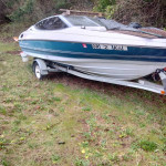 19 Bayliner capri