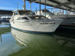 1976 Trojan f26