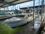 1976 Trojan f26
