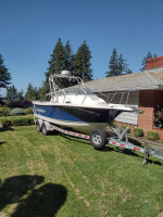 2008 Trophy Pro Fishing Boat
