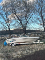 searay boat for sale