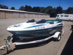 Sea-Doo Challenger twin motor new