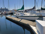 Cal 31