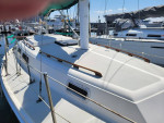 Cal 31