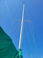 Cal 31