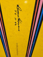 Donald takayama stand up paddleboard