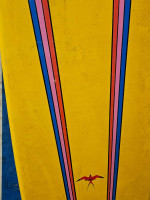 Donald takayama stand up paddleboard