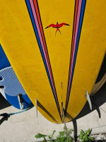 Donald takayama stand up paddleboard