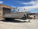 2003 STRIPER