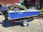 14ft mirro craft with 20hp evinrude