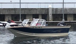 Sylvan Blue Fish 1700