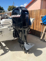 Sylvan Blue Fish 1700
