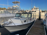 C-Hawk 29 sport cabin with direct drive diesel