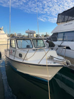 C-Hawk 29 sport cabin with direct drive diesel
