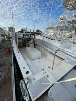 C-Hawk 29 sport cabin with direct drive diesel