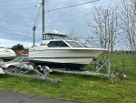 1999 bayliner 252 project