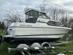 1999 bayliner 252 project