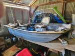 10 foot sun dolphin bass boat