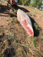 Canoe (fiberglass)