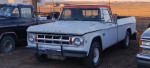 1969 D200