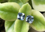 NEW! 14K Aquamarine Gemstone Earrings
