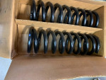 NOS TRW coil spring set