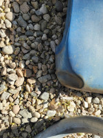 7380 chevy truck passenger side fender