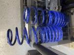 Mustang lowering springs