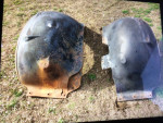 1968 Chev Pu inner fenders