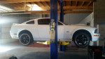 2005-2010 3v Mustang 4.6 Performance Installations and Tuning