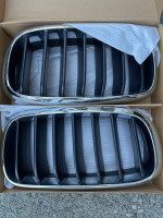 BMW X5 kidney grills