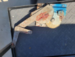 65,66, Ford Mustang widow regulators