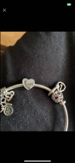 Pandora bracelet w/ 7 charms