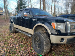 09 ford f150 king ranch