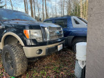 09 ford f150 king ranch