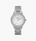 Fossil watch