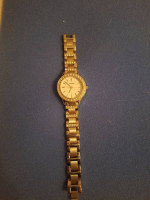 Fossil watch