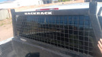 Backrack window guard