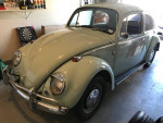 1966 vw bug