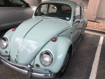 1966 vw bug