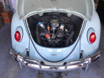 1966 vw bug