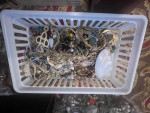 Costume Jewelry Vintage To Modern 700+ Piece Lot