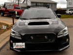 WRX trade carbon fiber hood