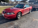02 Mustang Convertible