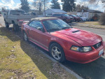 02 Mustang Convertible
