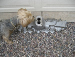 ** REDUCED ** Flathead Intake Manifold