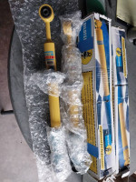 Bilstein Shocks